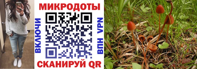 Псилоцибиновые грибы мицелий  hydra ссылки  Карабулак 